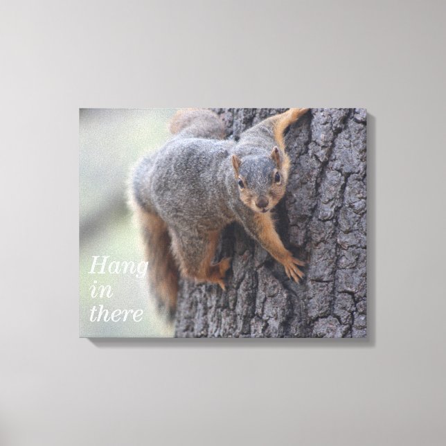 Clinging Squirrel Canvas Print (Front)