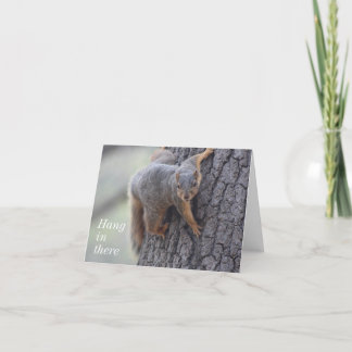 Clinging Squirrel Card