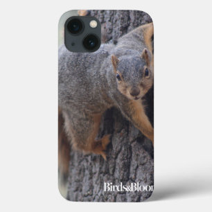 Clinging Squirrel iPhone 13 Case