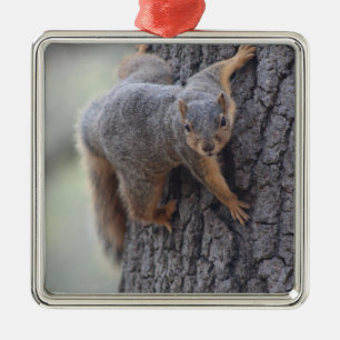 Clinging Squirrel Metal Tree Decoration