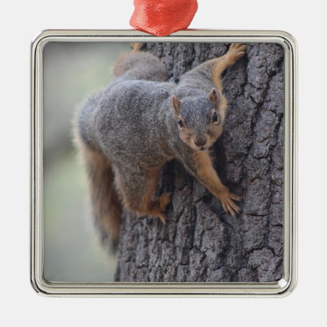 Clinging Squirrel Metal Tree Decoration (Front)