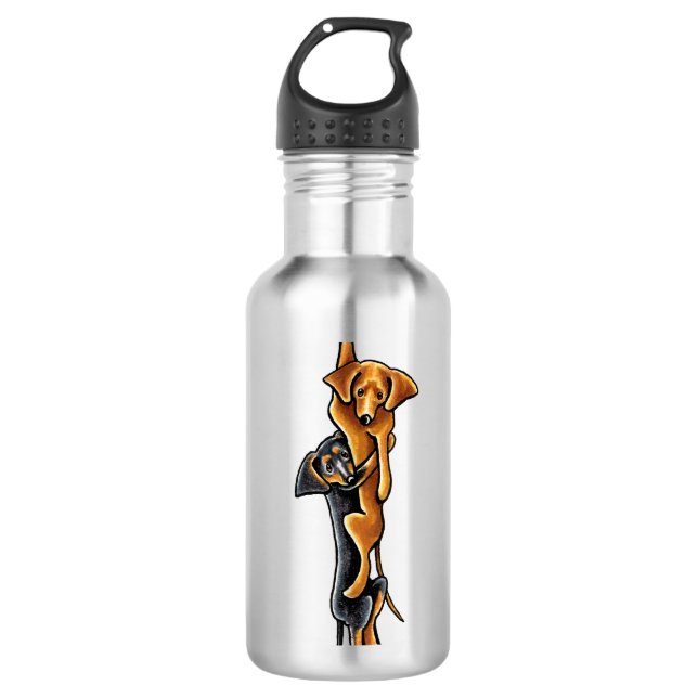 Clingy Dachshunds 710 Ml Water Bottle (Front)