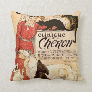 Clinique Cheron Paris Veterinary Advertisement Cushion