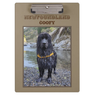 CLIP BOARD WITH PHOTOGRAPH