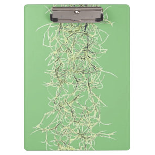 CLIPBOARD ART AND DESIGN STYLE