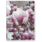 Clipboard - Saucer Magnolia