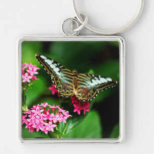 Clipper on Pentas 1 Keychain