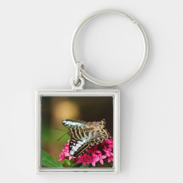 Clipper on Pentas 3 Keychain (Front)