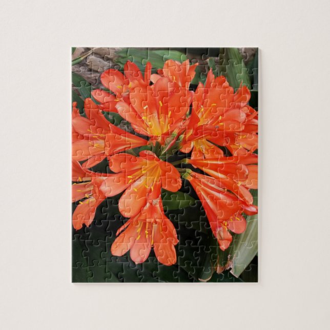 Clivia Miniata - The Orange Beautiful Flower Jigsaw Puzzle (Vertical)
