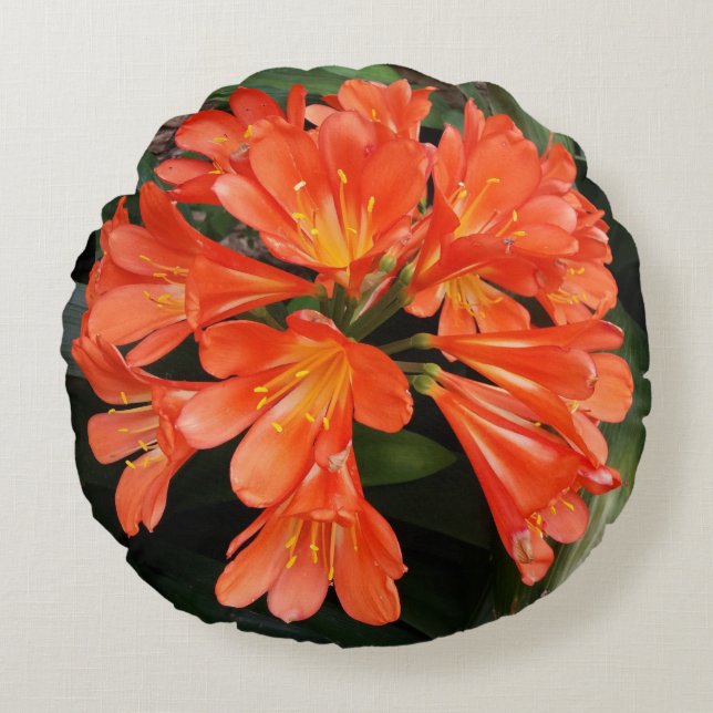 Clivia Miniata - The Orange Beautiful Flower Round Cushion (Front)