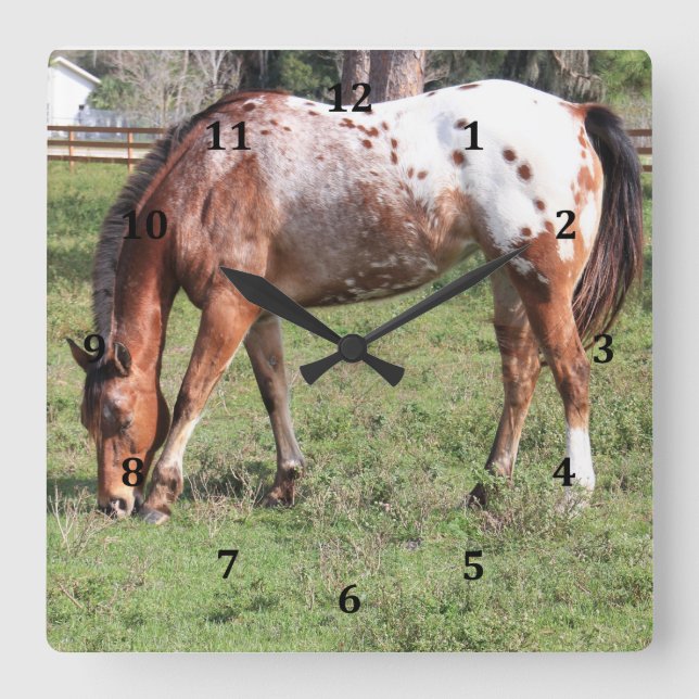 Clock, Appaloosa Horse Square Wall Clock (Front)