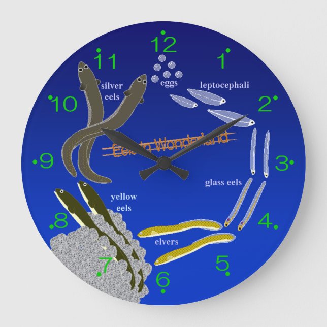 [Clock] Eels in Wonderland Large Clock (Front)