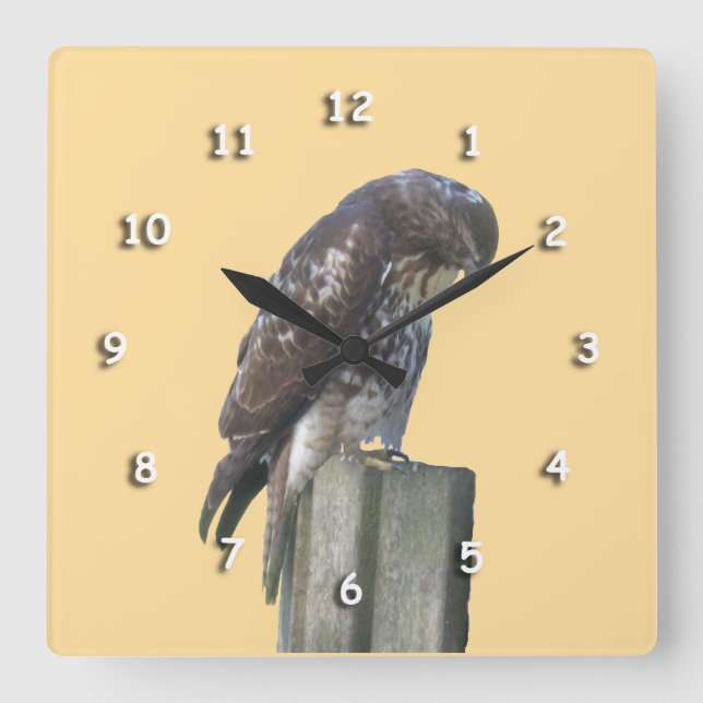 Clock - Falcon on Post (Front)