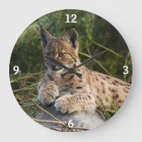 Clock - lynx