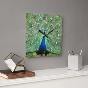Clock - Peacock tailfeathers