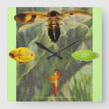 "Clock Roach" Roach enthusiasts will love this!!