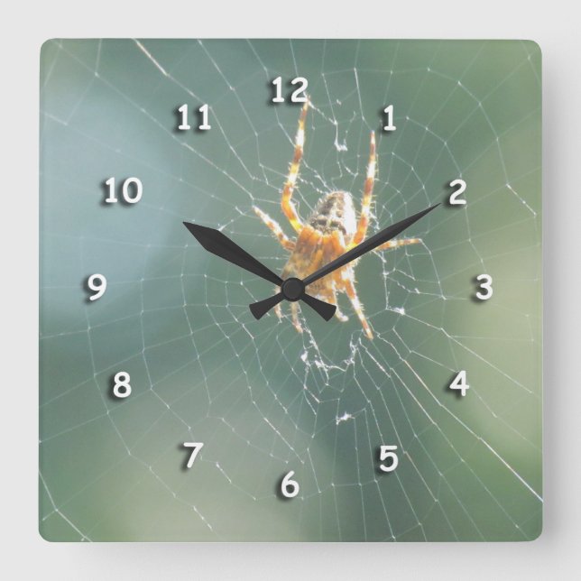 Clock - Spider on Web (Front)