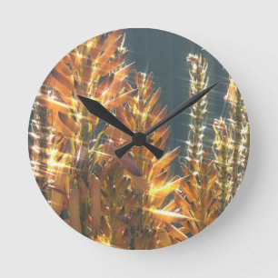 Clock The Firecracker