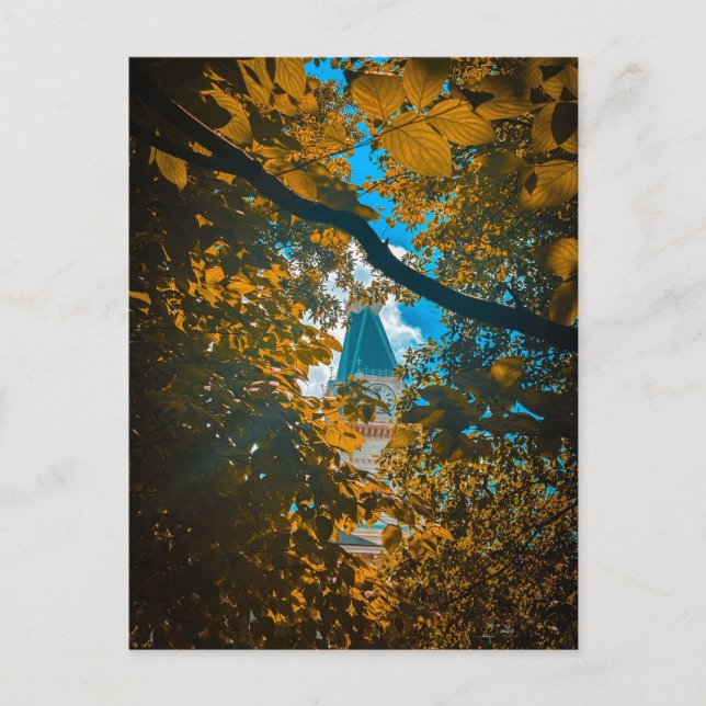Clock Tower Through Autumn Leaves Postcard (Front)