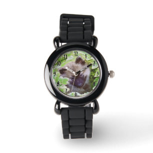 clock watch
