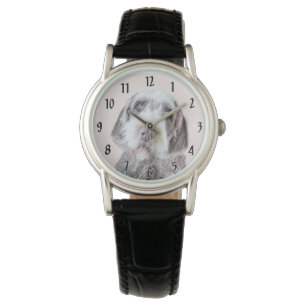 clock watch