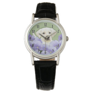 clock watch