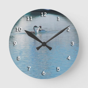 Clock - Western Grebe in harbour v3