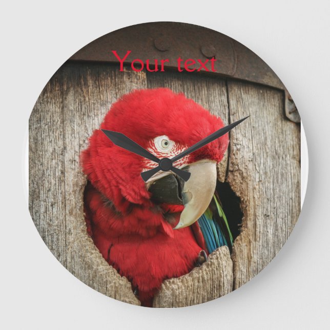 Clock with green wing macaw parrot in barrel (Front)