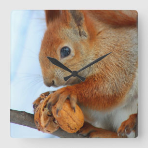 clock with squirrel