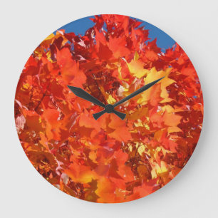 Clocks Orange Red Yellow Fall Tree Leaves