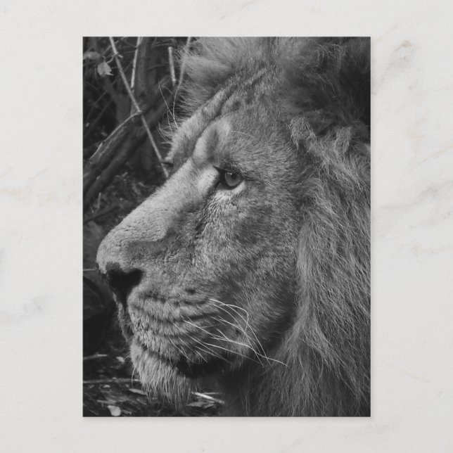 close bw postcard (Front)