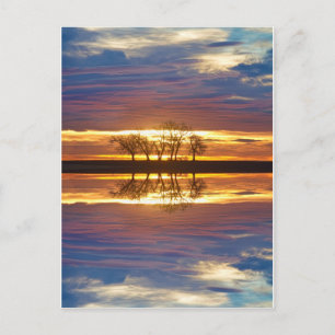 Close Encounters Two Postcard