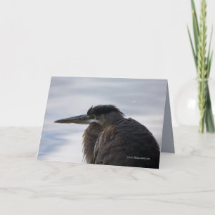 Close to a Heron Card