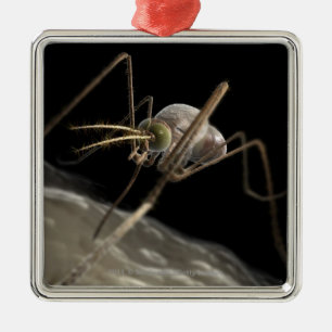 Close up 3d mosquito biting metal ornament