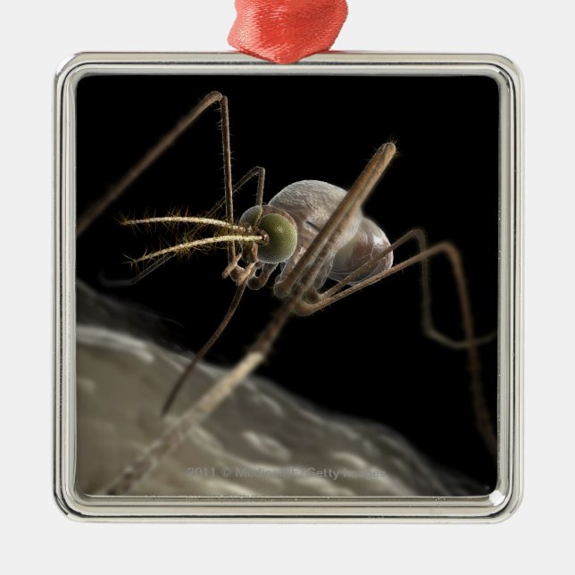 Close up 3d mosquito biting metal ornament (Front)