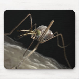Close up 3d mosquito biting mouse pad
