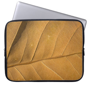 Close-up abstract dry leaf texture backgroundabstr laptop sleeve