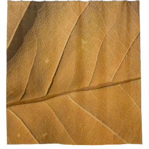 Close-up abstract dry leaf texture backgroundabstr shower curtain