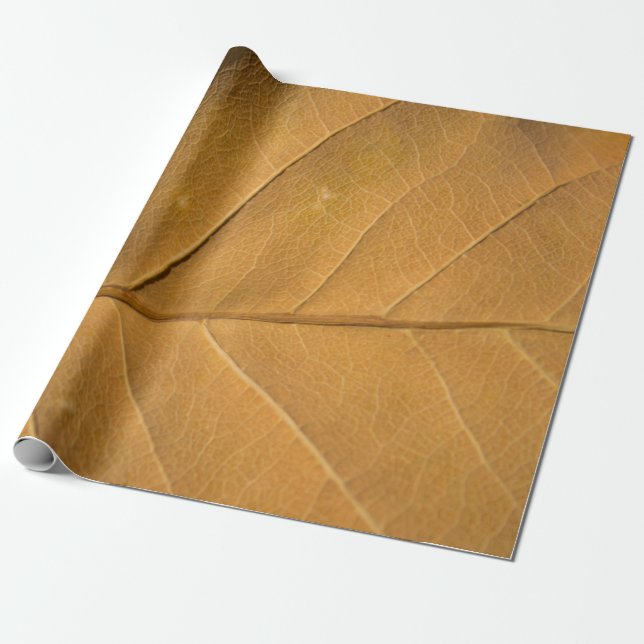 Close-up abstract dry leaf texture backgroundabstr wrapping paper (Unrolled)