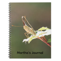 Close Up Big Eyed Butterfly Personalized Notebook