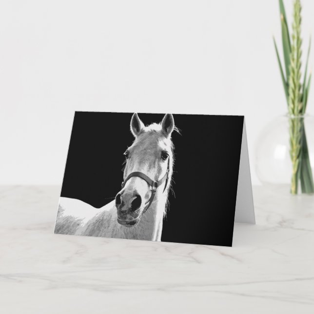 Close-up Black White Horse in Night Card (Front)
