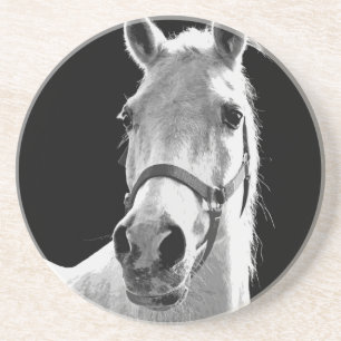 Close-up Black White Horse in Night Coaster