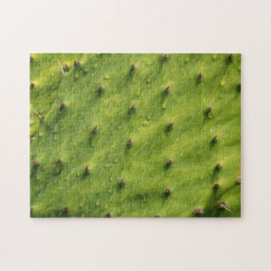Close-up Cactus (extremely difficult) Jigsaw Puzzle