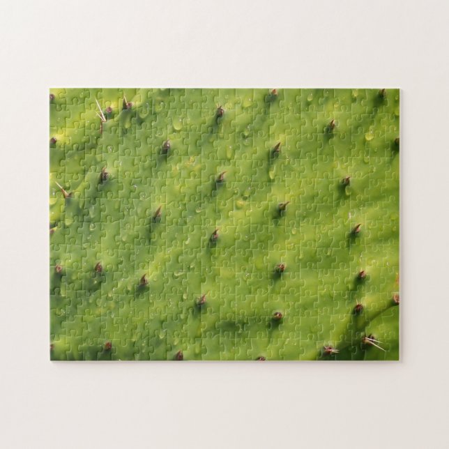 Close-up Cactus (extremely difficult) Jigsaw Puzzle (Horizontal)