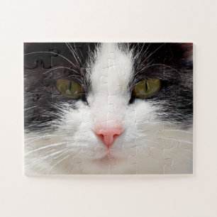 Close Up Cat Face, Easy Jigsaw Puzzle