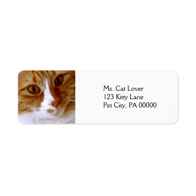 Close Up Cat Return Address Labels (Front)