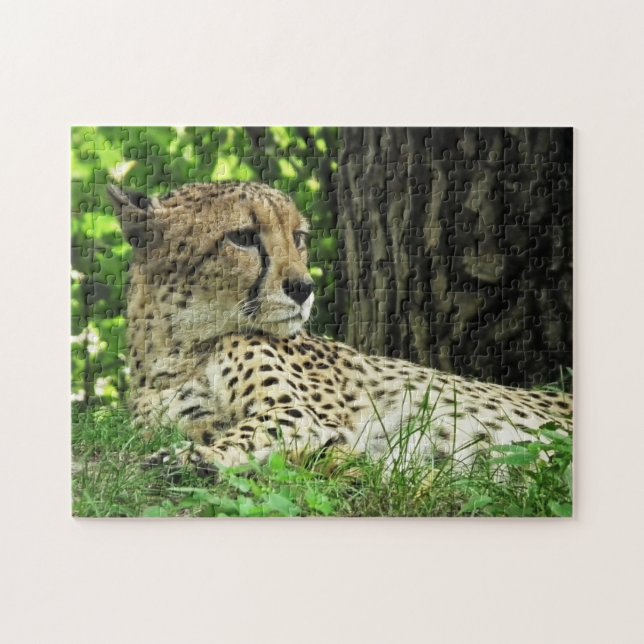 Close-up Cheetah Jigsaw Puzzle (Horizontal)
