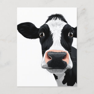 Close-Up Cow Curiosity Postcard