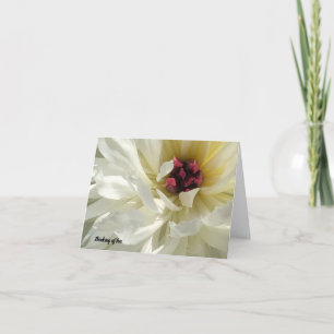 Close up Creamy White Peony Flower Sympathy Card