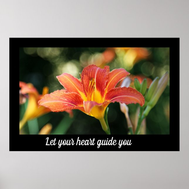 Close Up Daylily Poster (Front)